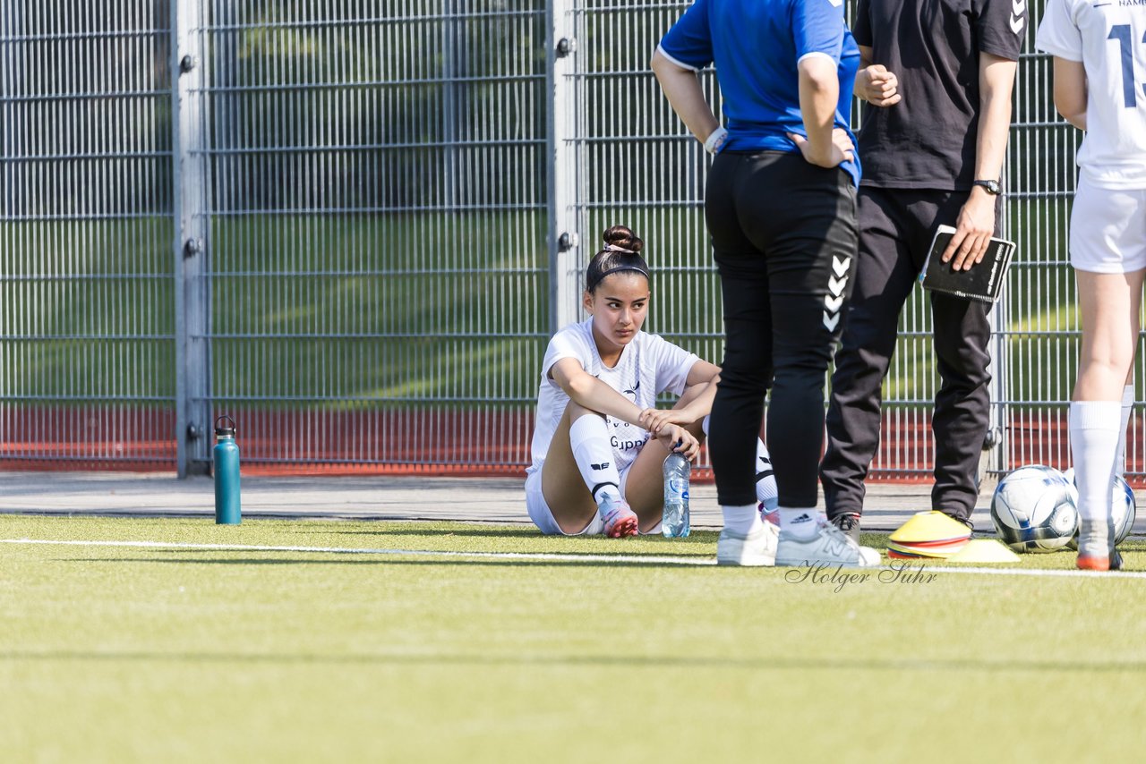 Bild 253 - wBJ Alstertal-Langenhorn - SV Henstedt-Ulzburg : Ergebnis: 4:1